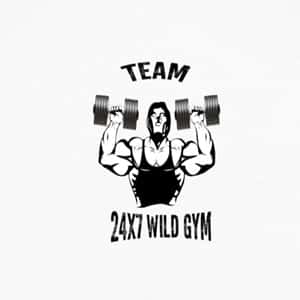 24X7 Wild Gym logo