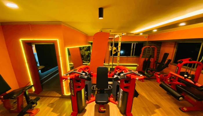 24X7 Wild Gym