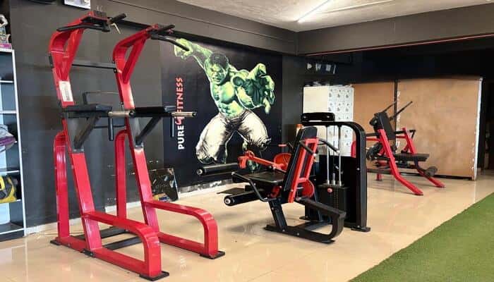 Pure Fitness