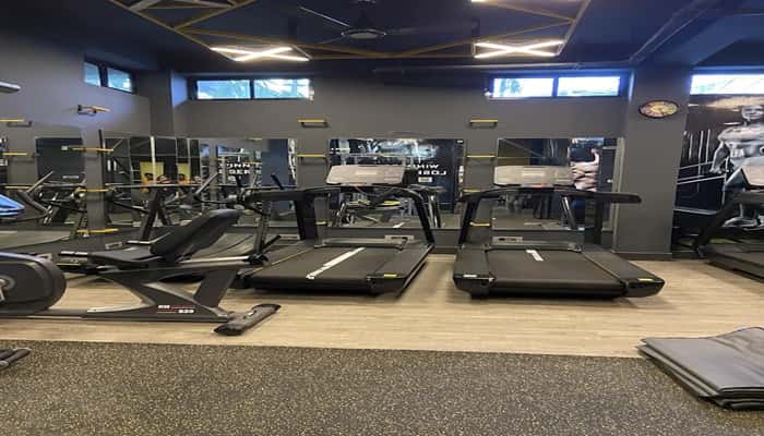 Dynamic Gym 2.0