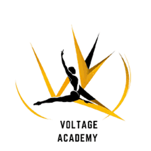 Voltage Academy logo