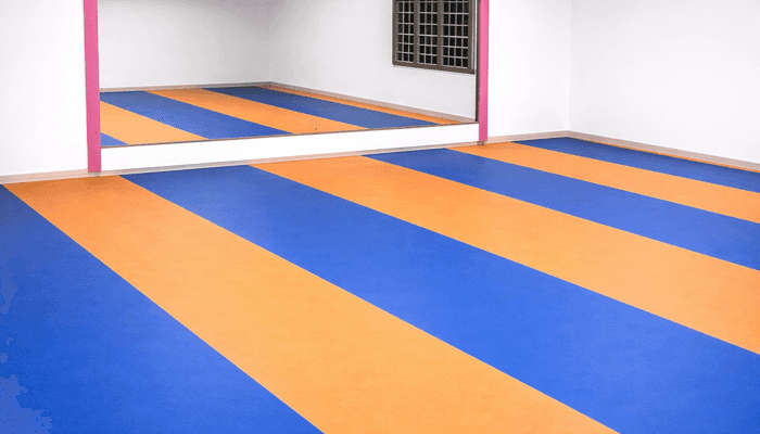 LSV Fitness Studio 2