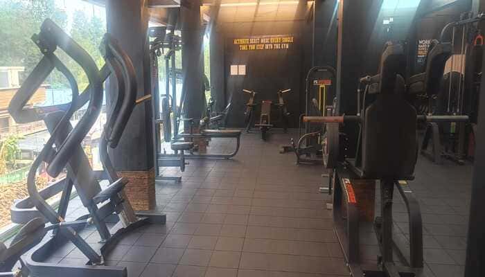 Alligator Gym