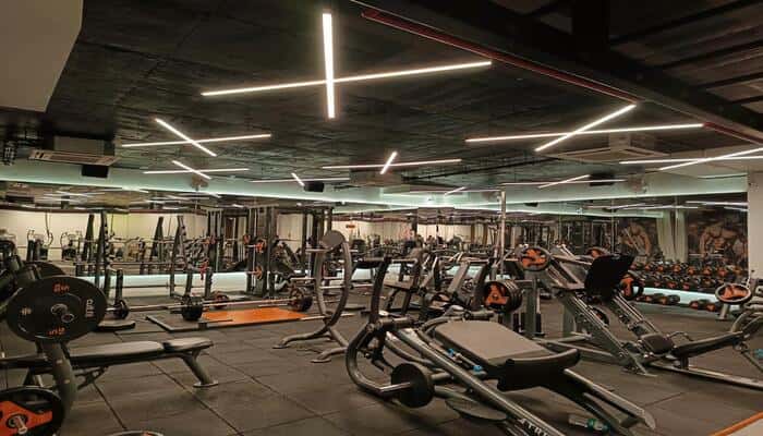 Fitness Ladder Gym