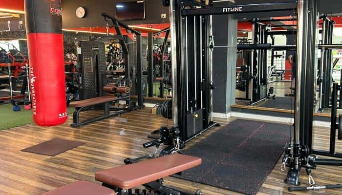Tribe Fitness