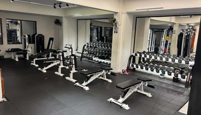 Mesomorph Fitness Academy