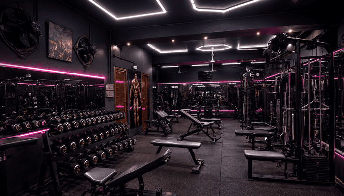 Muscle Factory Gym