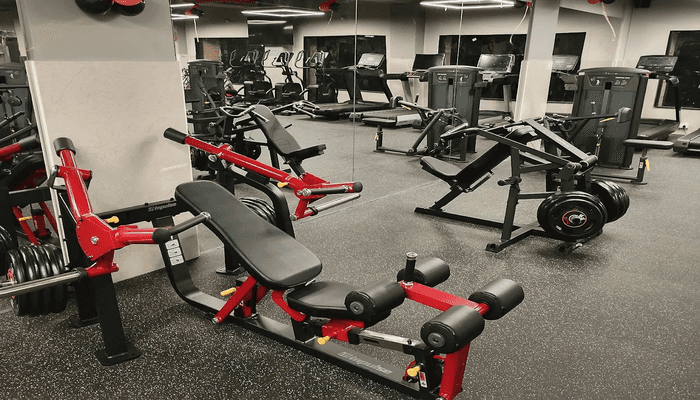 Life Crafter Gym
