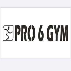 Pro 6 Gym logo