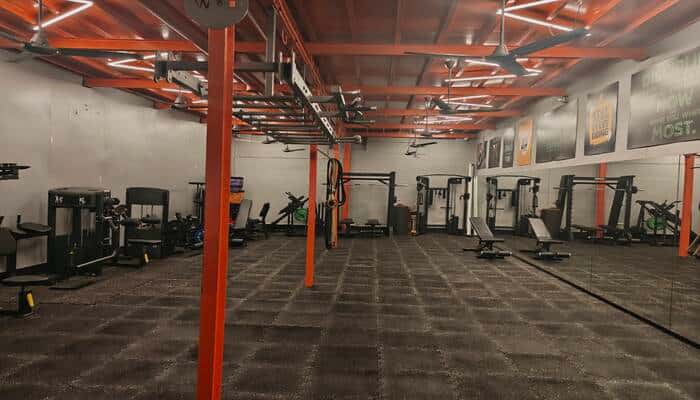 The WOD