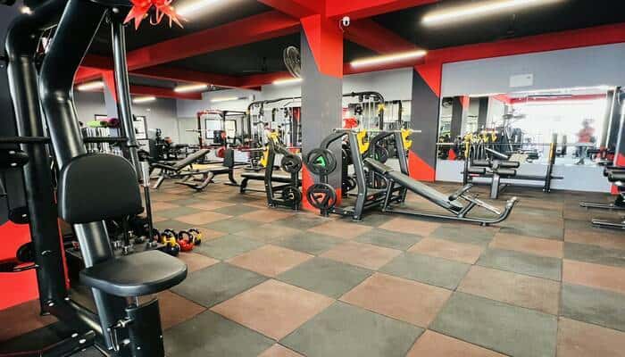 MuscleFit Gym