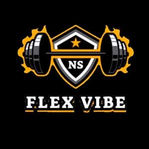 Flex Vibe logo