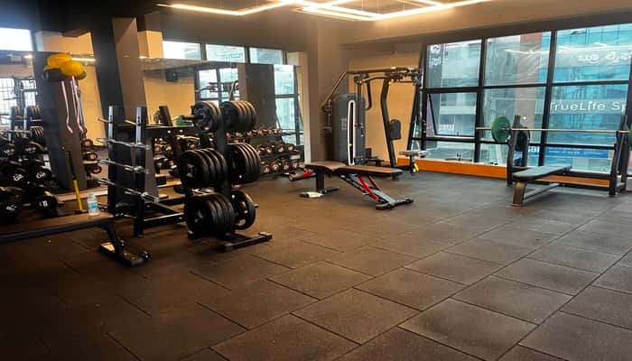 AB Fitness (Alpha Bodyworks)