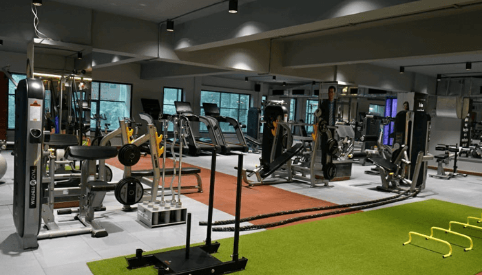 Dumbbell Bee Evolving Fitness