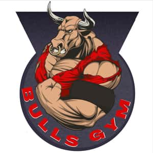Bulls Gym logo
