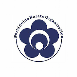 Seido Karate India Greater Kailash Part 2