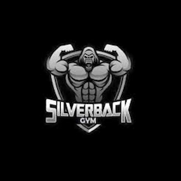 Silverback Gym Gtb Nagar
