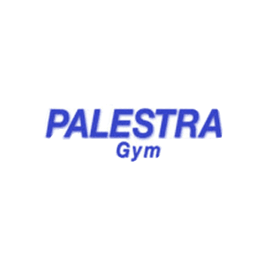 Palestra Fitness Studio logo
