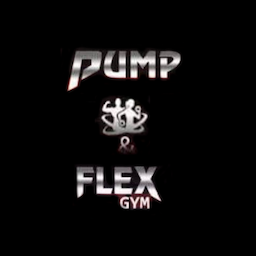Pump & Flex Gym Mandaveli
