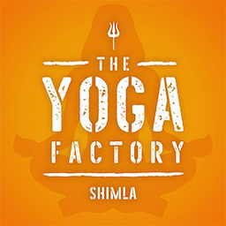 The Yoga Factory Chakkar