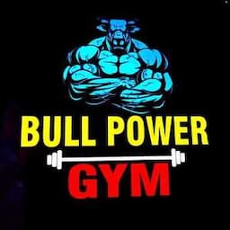 The Bull Power Gym Sector 1 Rohini