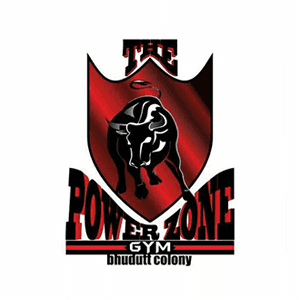 The Power Zone Unisex Gym logo