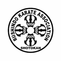 Bu Shin Do Karate Kalewadi