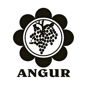 Angur Gym logo