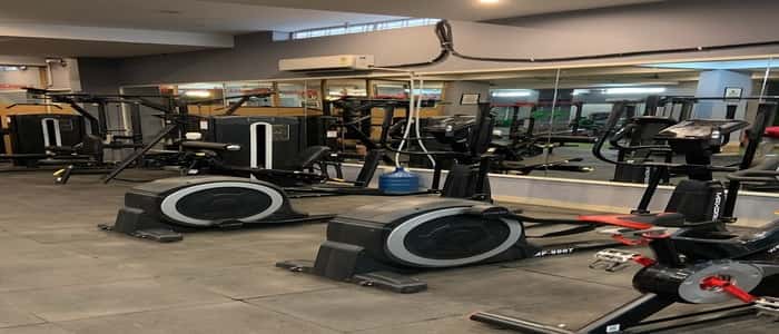The Tiger's Fitness Arena