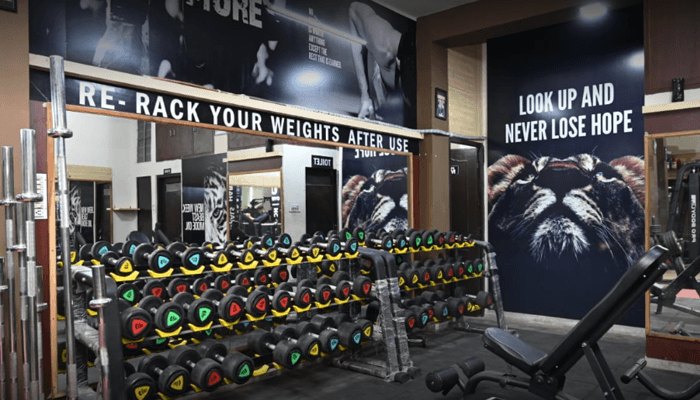 Xtreme Fitness And Gym