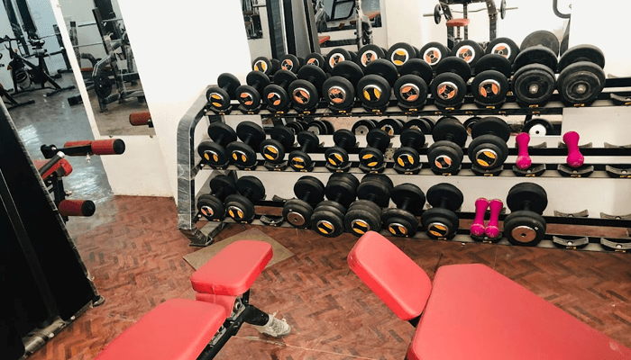 Active Life Unisex Gym