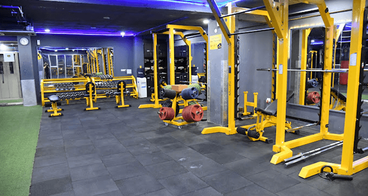 Primal Fit