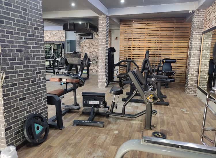 Fit 22
