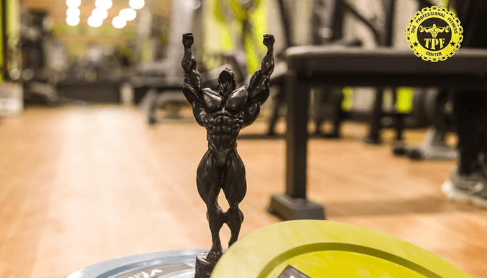 The Professional Fitness Centre