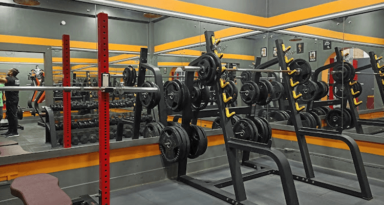 FitNet Muscle Den