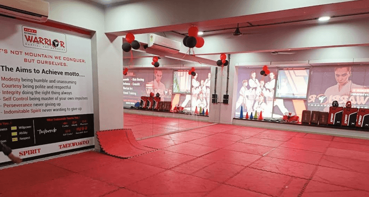 Dynamic Warrior Martial Arts Academy