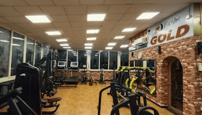 Fitnet Gold