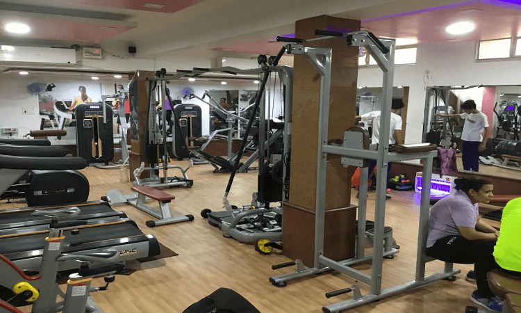Fitness Paradise