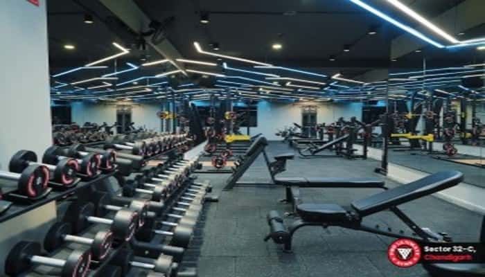 Pro Ultimate Gym