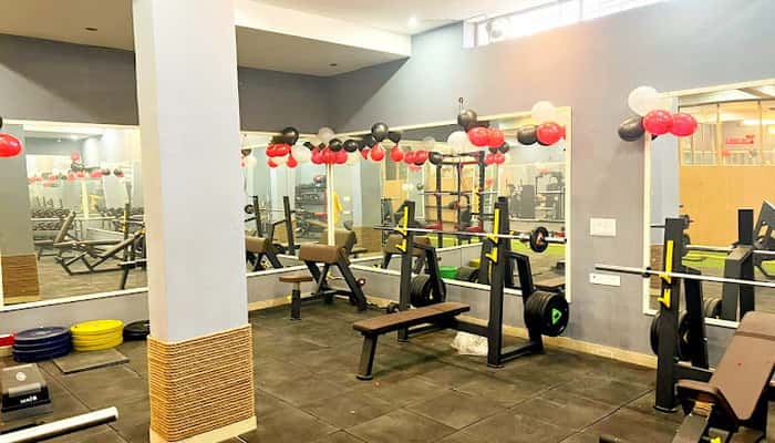 The Tiger's - Fitness Arena