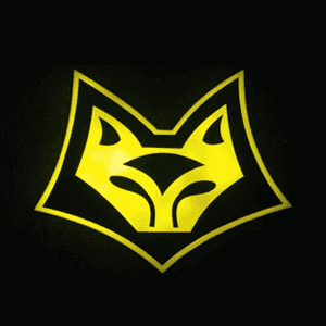 Foxx Fitness logo