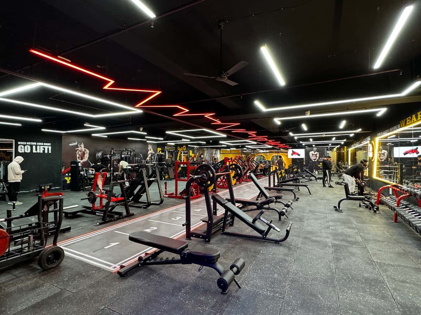 Muscle Headquarter