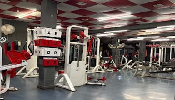 The Power Fitness Zone