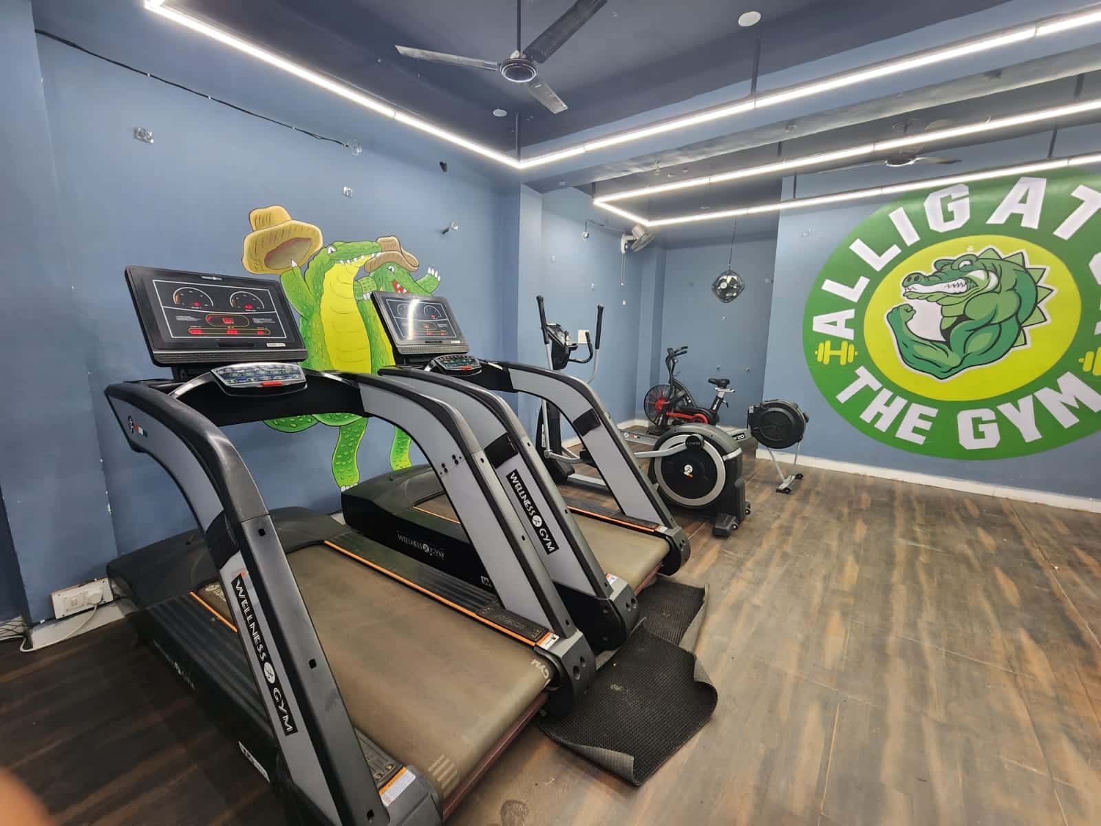 The Alligator Gym