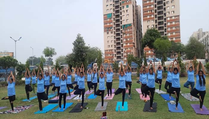 Blue Leaf Yoga Studio