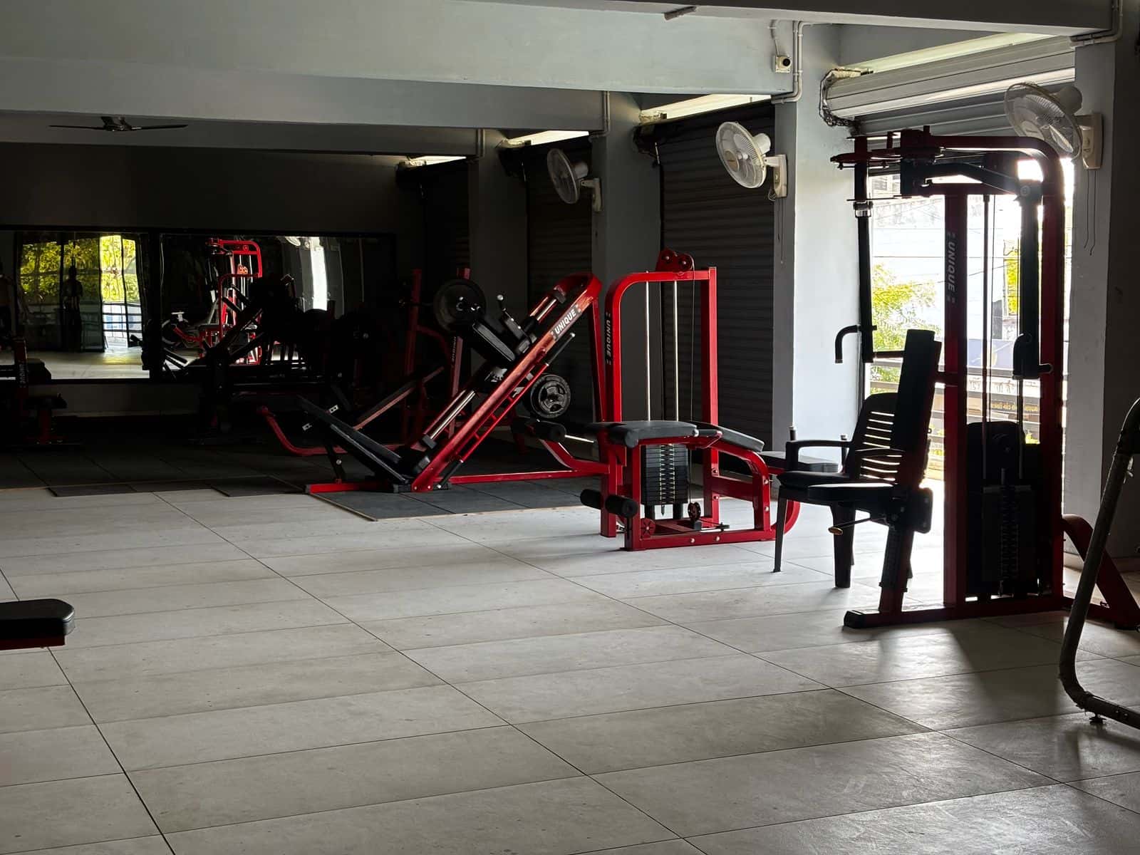 Arnold Gym