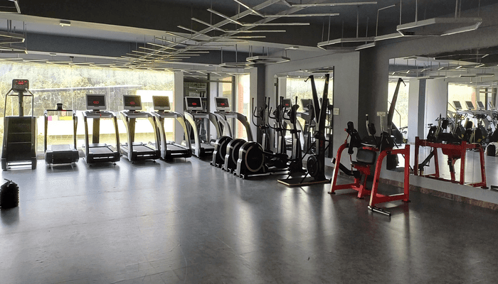 Next Level Fitness