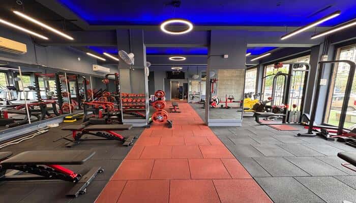 Strive Fitness