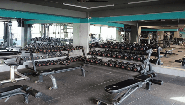 Dream Fitness
