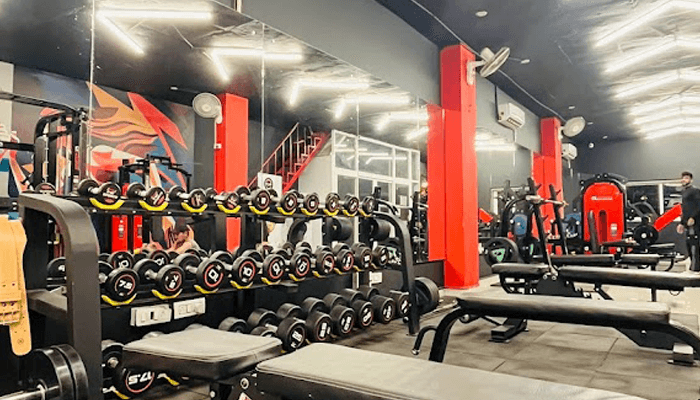 Robust The Gym